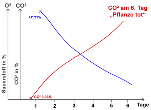 Pflanze CO2 O2