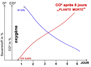 Pflanze CO2 O2 franz